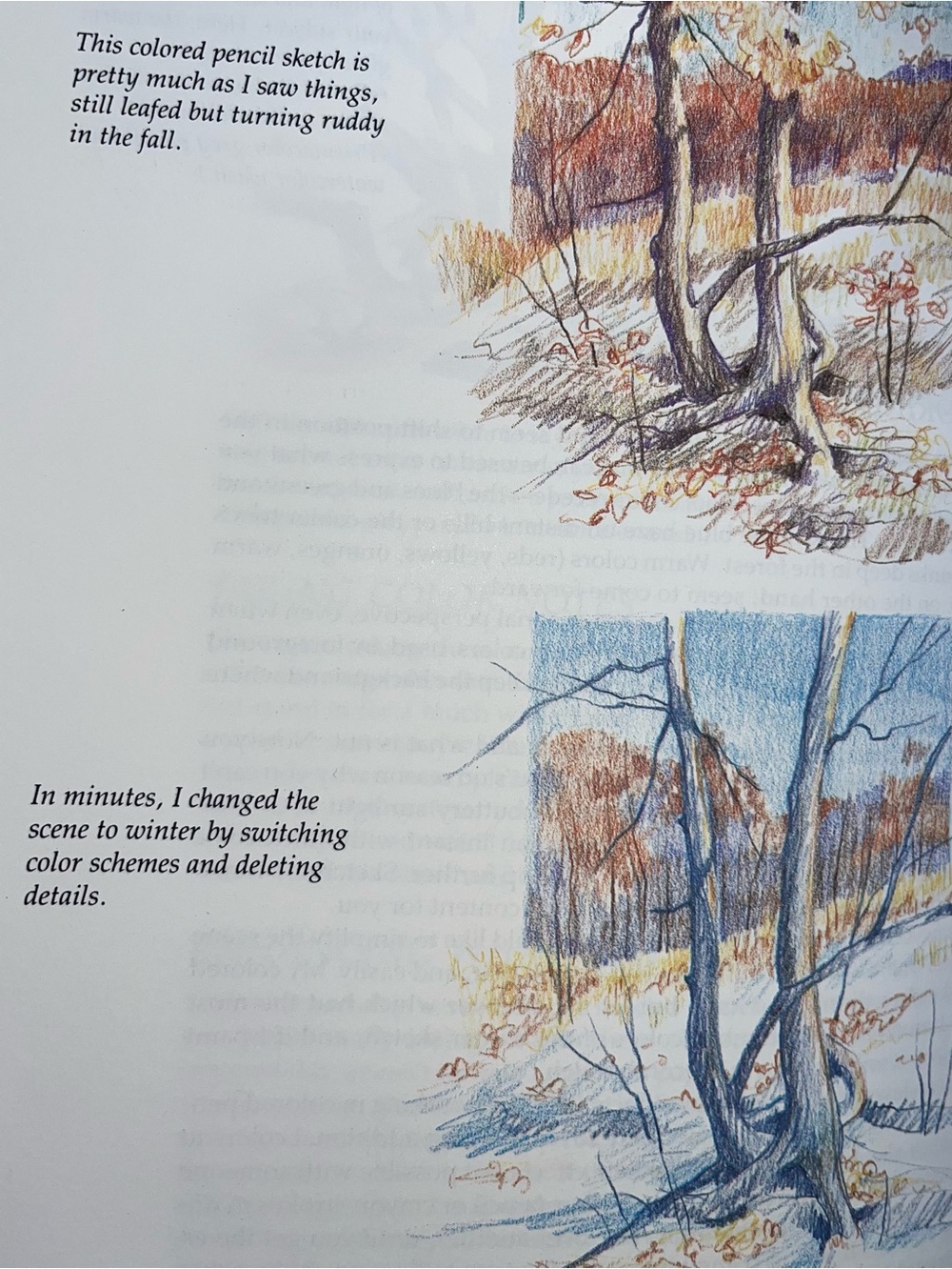 Drawing Bookset - Picture 6 of 15